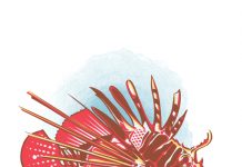 Lionfish injuries lionfish injuries - caymanhealth