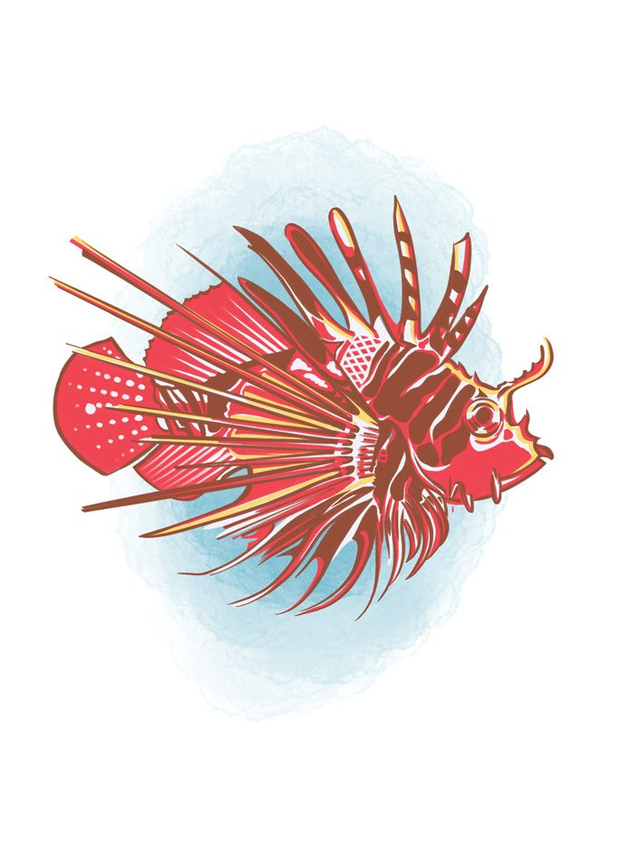 lionfish injuries - caymanhealth