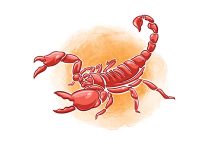 Scorpion stings scorpion stings