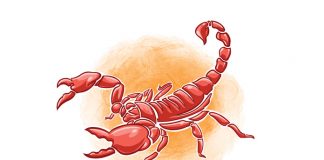 Scorpion stings scorpion stings