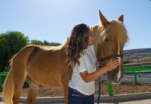 Therapy-animals boost well-being therapy animals - caymanhealth