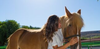 Therapy-animals boost well-being therapy animals - caymanhealth