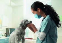 Animal Aid Veterinary services in Cayman